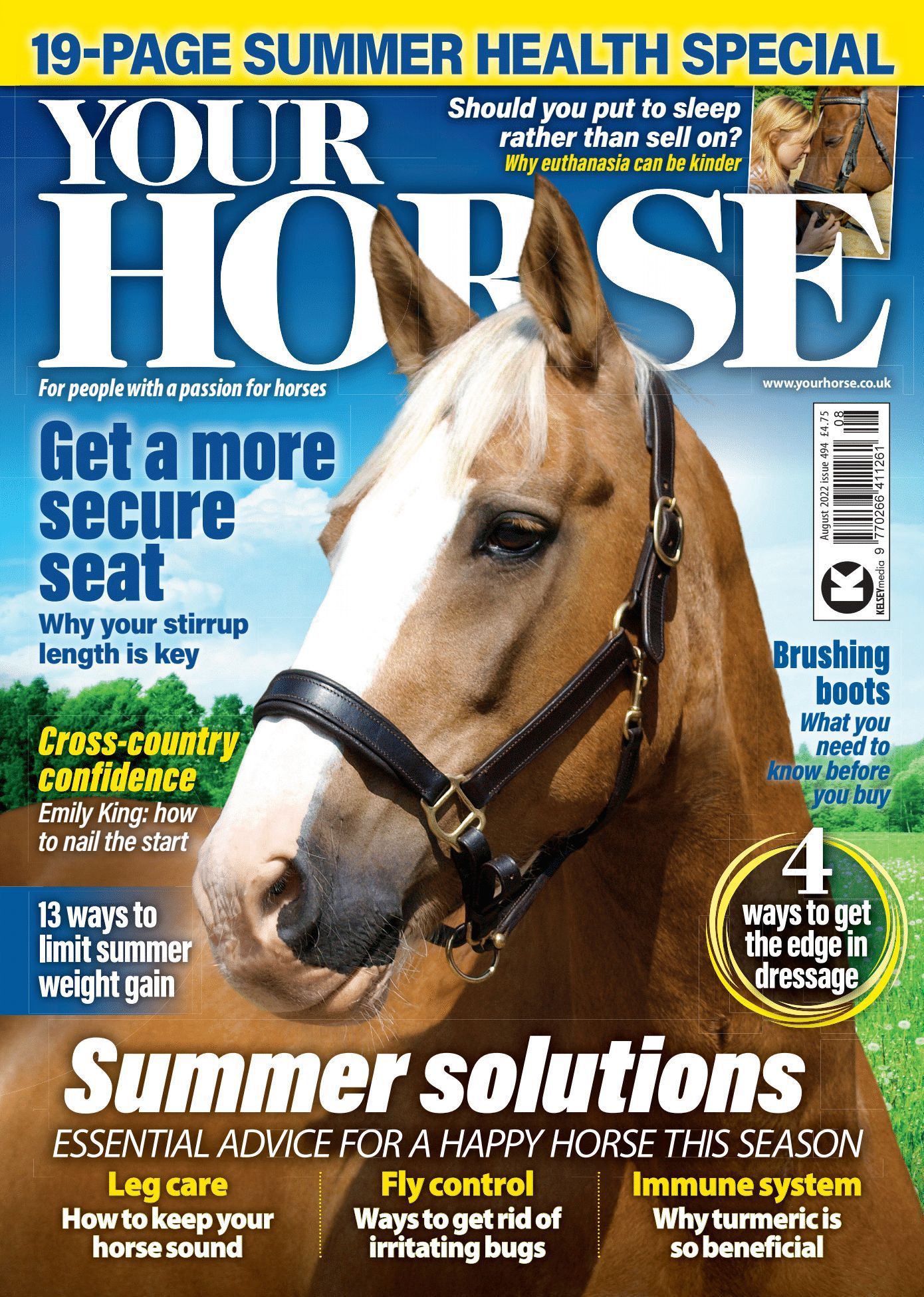 Summer health special: Inside the August issue of Your Horse - Your Horse