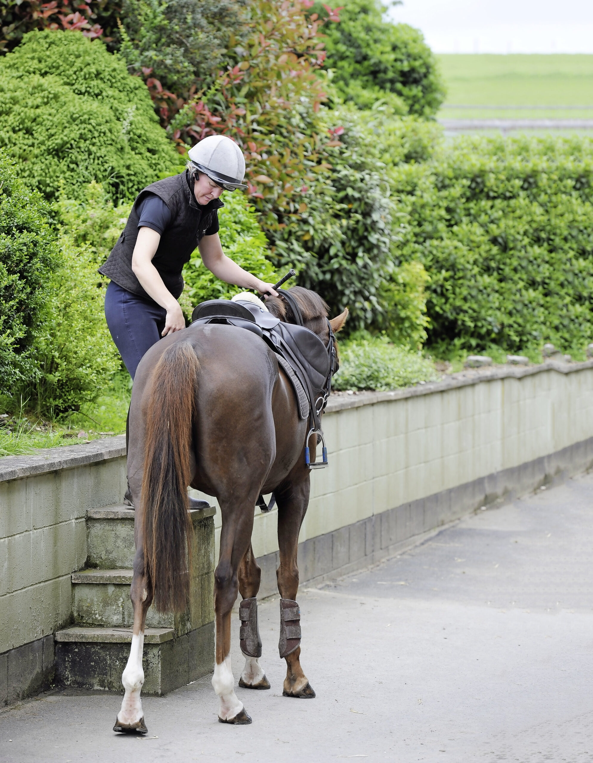 Lungeing and Mounting an Exracehorse Your Horse