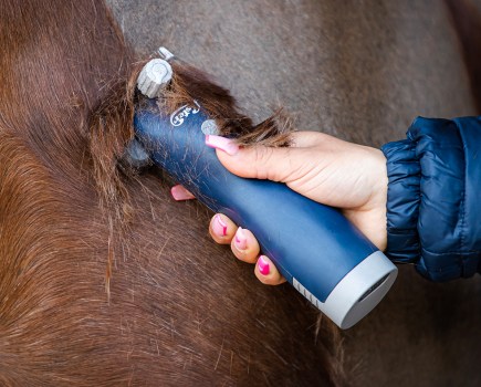 Cordless clippers give the user more freedom of movement and removes the risk of your horse standing on the cable