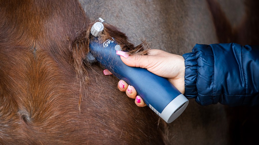 Cordless clippers give the user more freedom of movement and removes the risk of your horse standing on the cable