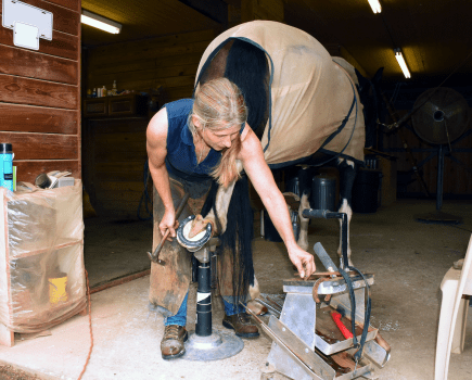 Pictured is a female farrier putting a back shoe on a horse's hoof