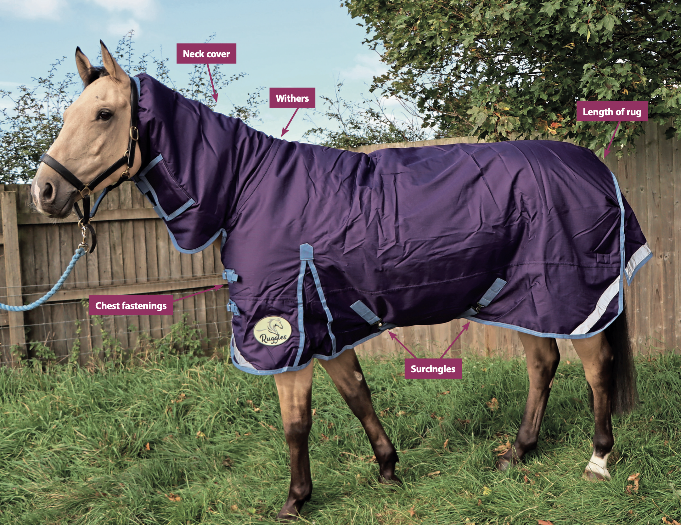 How to fit a rug Ensure the perfect horse blanket fit with easyto