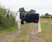 A grey horse is pictured wearing the Hy Equestrian DefenceX System Cool Control Exercise Sheet