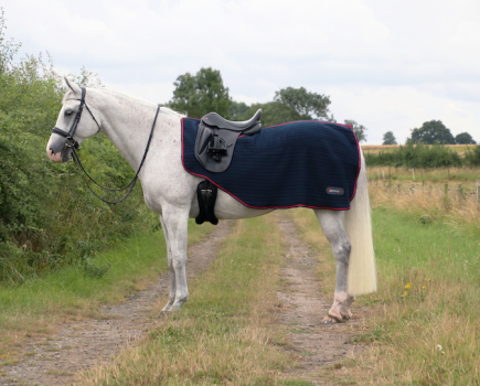 A grey horse is pictured wearing the Hy Equestrian DefenceX System Cool Control Exercise Sheet