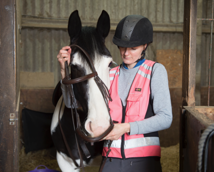 Correct bridle fit is essential