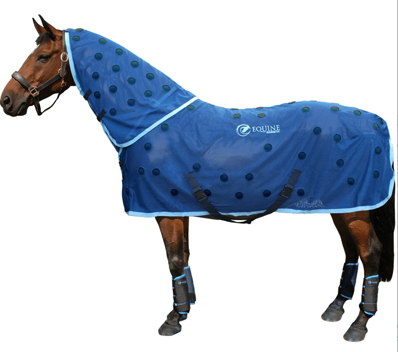 therapy for horses does it work? Your Horse