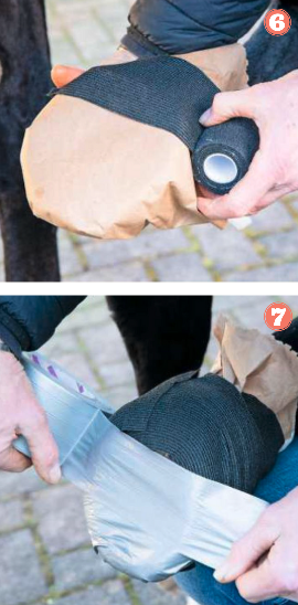 Steps six and seven of Alan Davies' guide to bandaging a horse's foot are shown