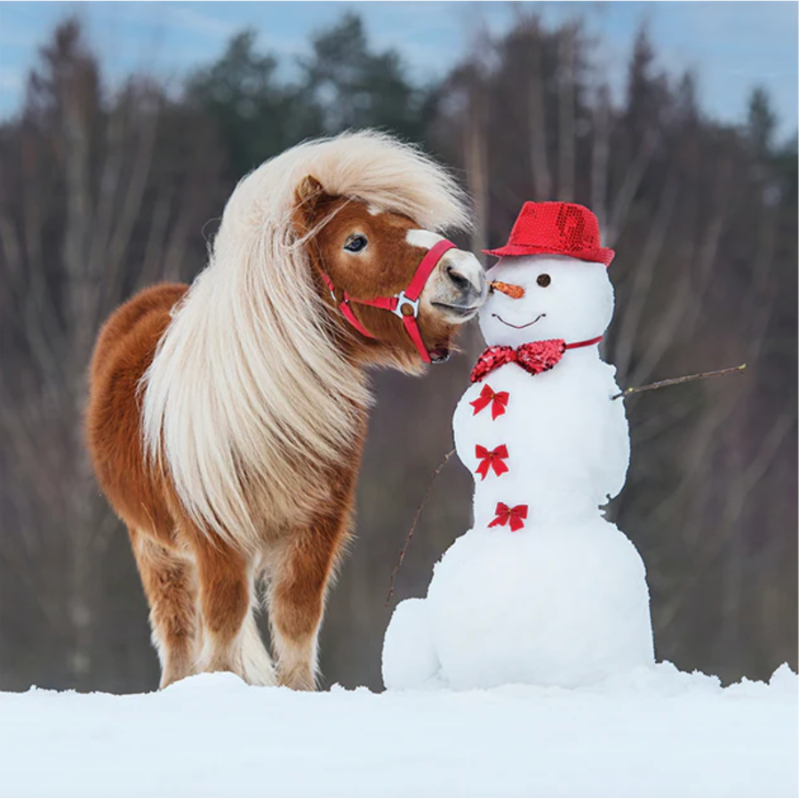15 charity Christmas cards that horse lovers will love to receive this