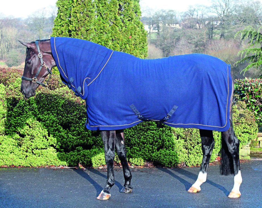 Cooler rugs 18 versatile cooler blankets to keep your horse