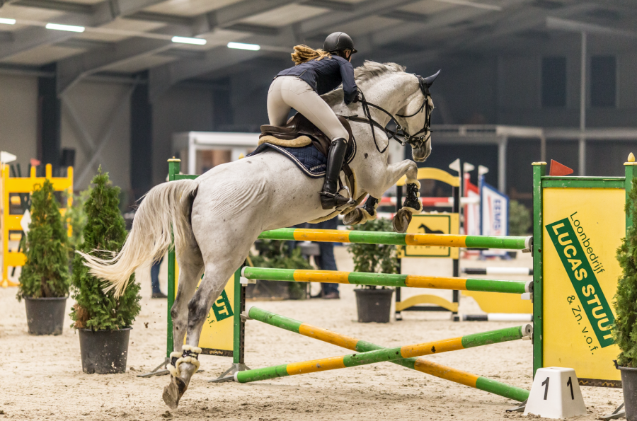 Competing indoors is completely different to outdoor arenas, and so practice and preparation is essential for you and your horse