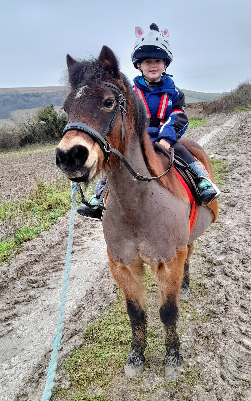 Toddler and Dartmoor Pony Tackling 100mile Hacking Challenge Your Horse