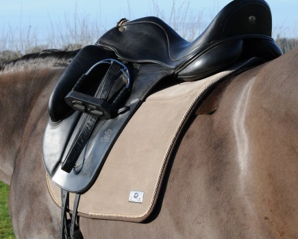 Pictured is a saddle on a horse with a saddlecloth under it