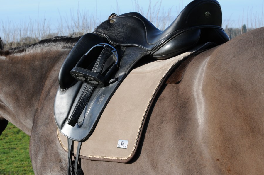 Pictured is a saddle on a horse with a saddlecloth under it