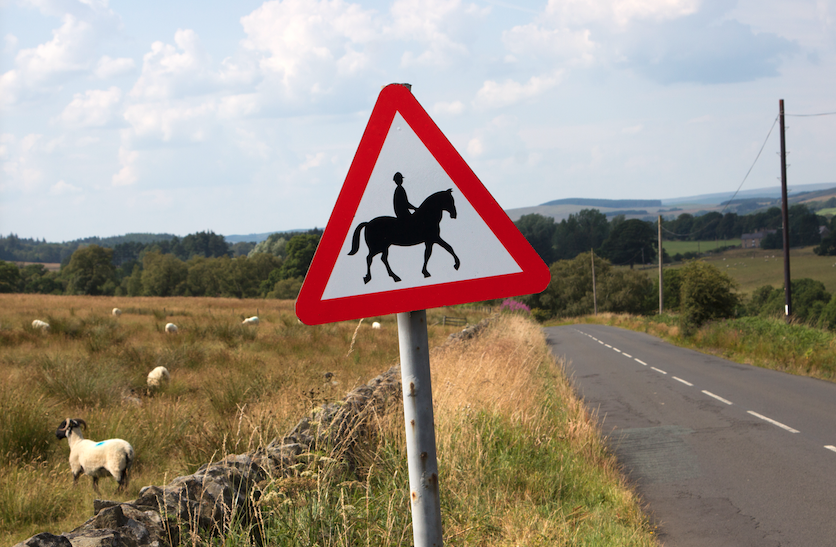 Pictured is a road sign with a horse on it with the colour red around the edge, warning drivers that horses are hacking on the road