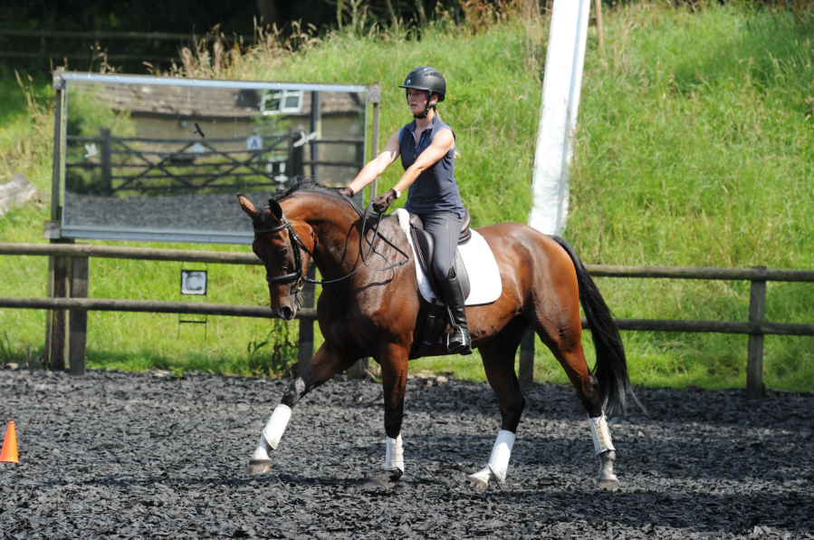 Pictured is a rider moving their hands forward towards the horse's ears, showing a give-and-retake of the reins in dressage