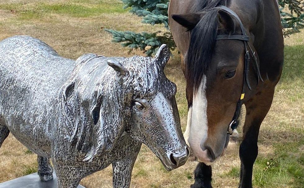 ‘A total sweetheart’: Horse Trust’s George remembered with sculpture