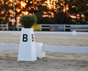 Pictured is a close up of the letter B on a dressage arena