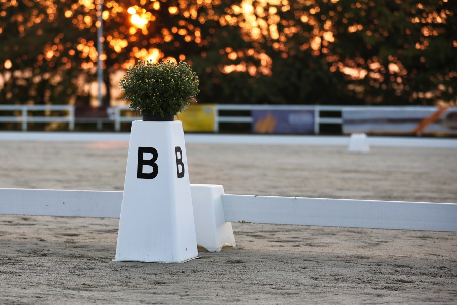 Pictured is a close up of the letter B on a dressage arena