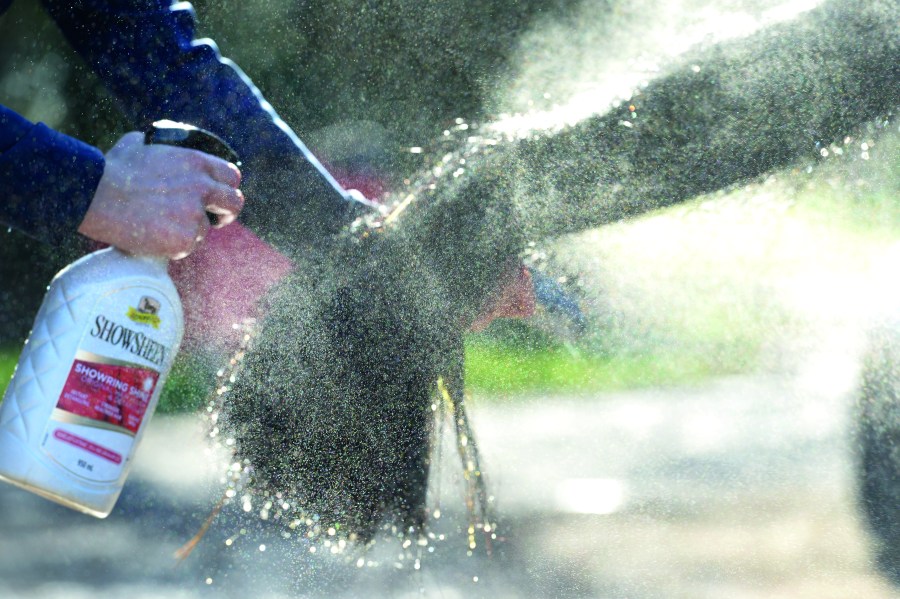 Pictured is a mane and tail detangler being sprayed on to a black horse tail
