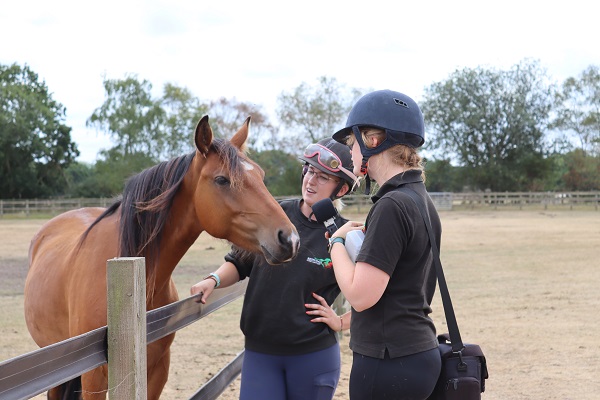 Redwings Horse Sanctuary and Rescue