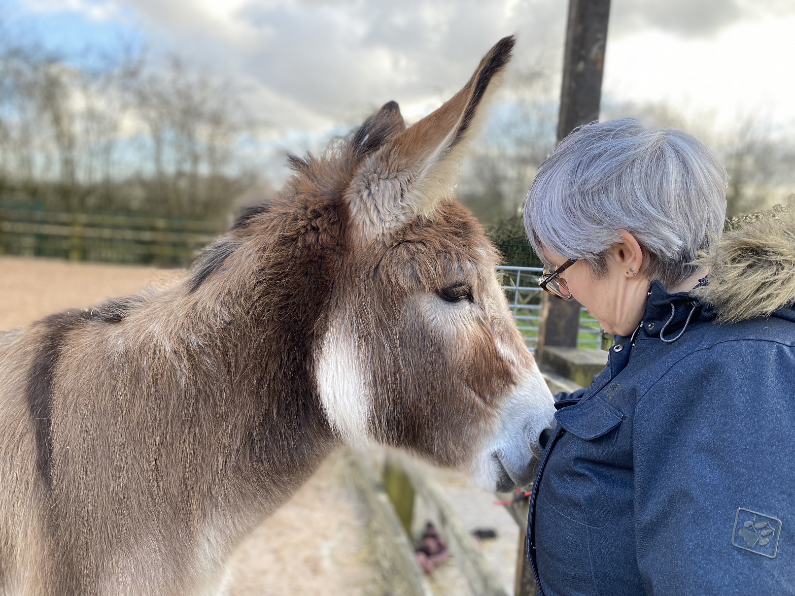 Welcome progress for donkey-assisted therapy programmes