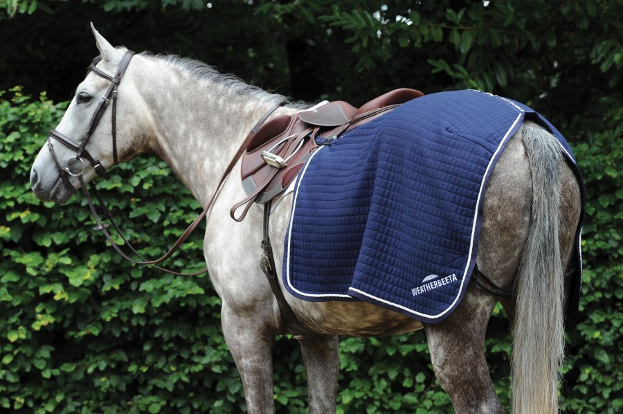 The Weatherbeeta Thermocell Quarter Sheet is shown, worn by a grey horse