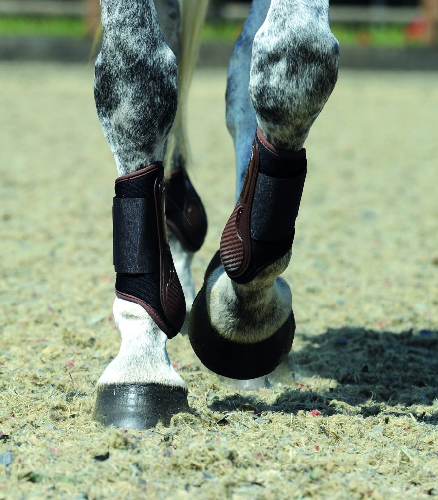 Pictured is a horse wearing brushing boots