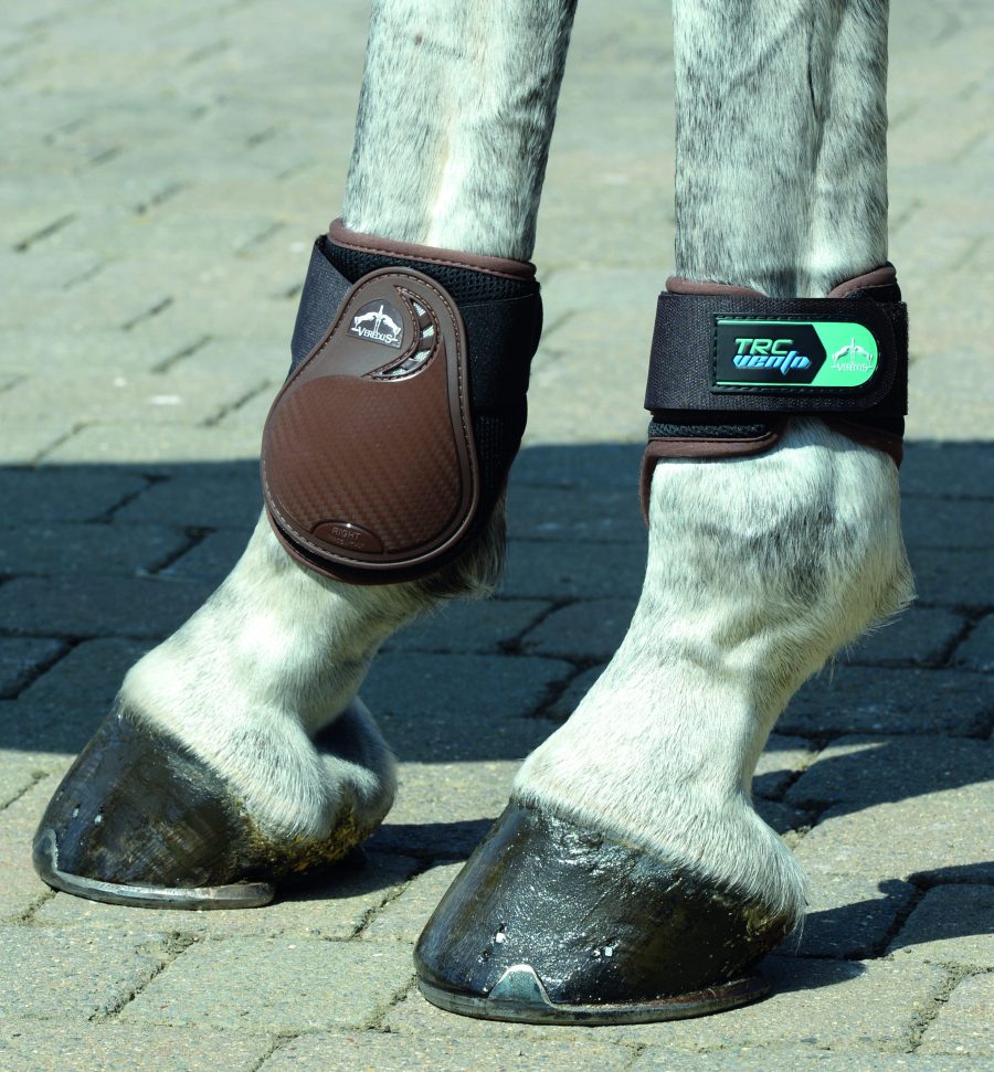In this image, fetlock boots are worn