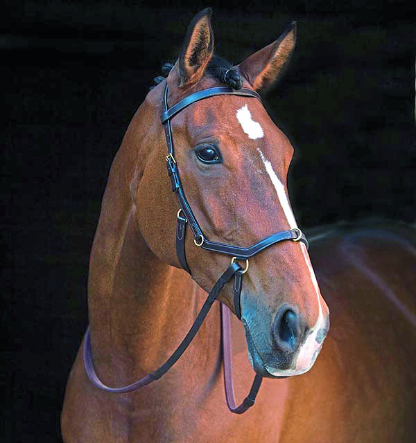 Rambo Micklem Multibridle