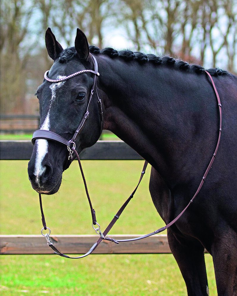 QHP Sunna Bitless Bridle