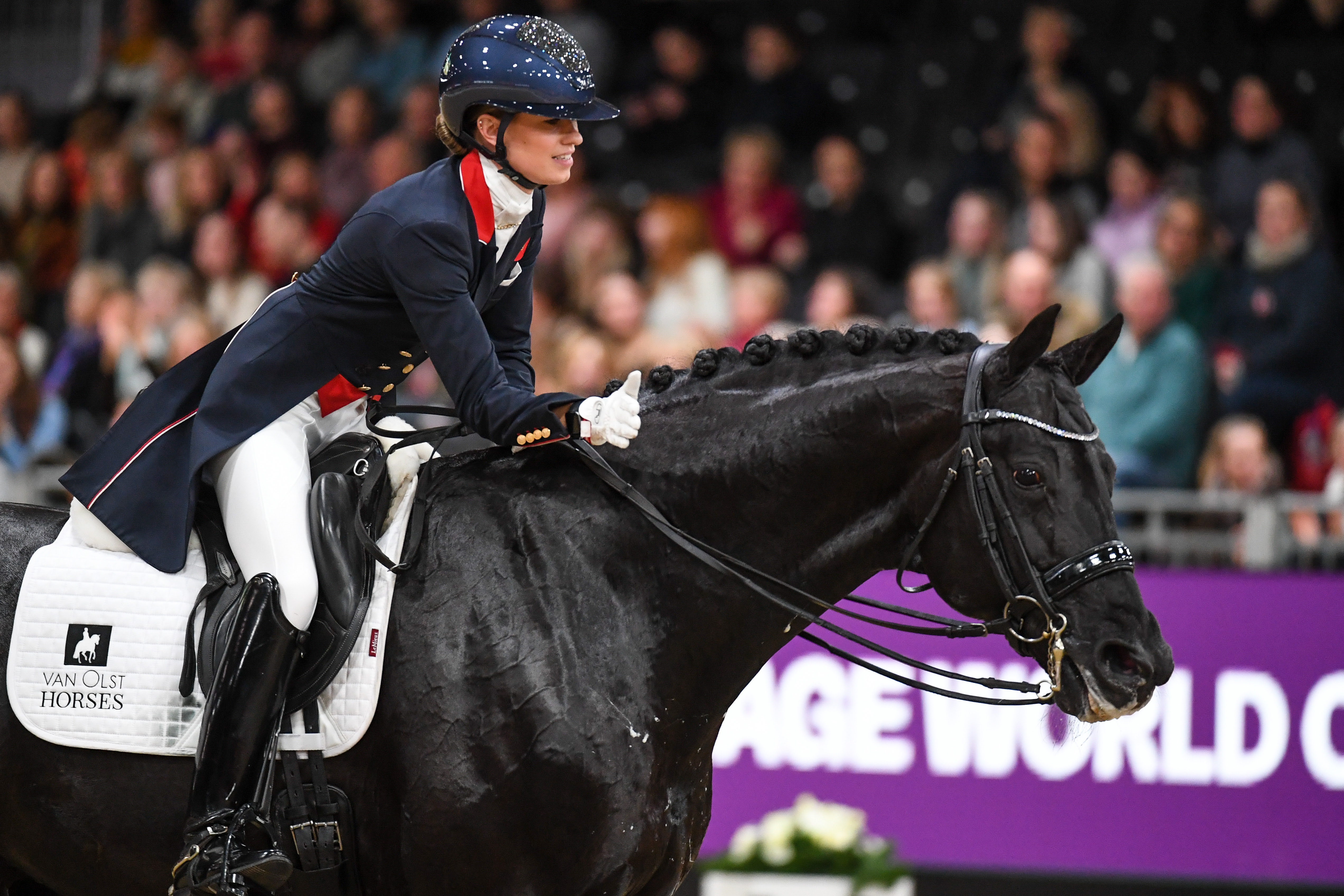 Dressage riders, star groom and Ukraine relief-worker receive Medals of ...