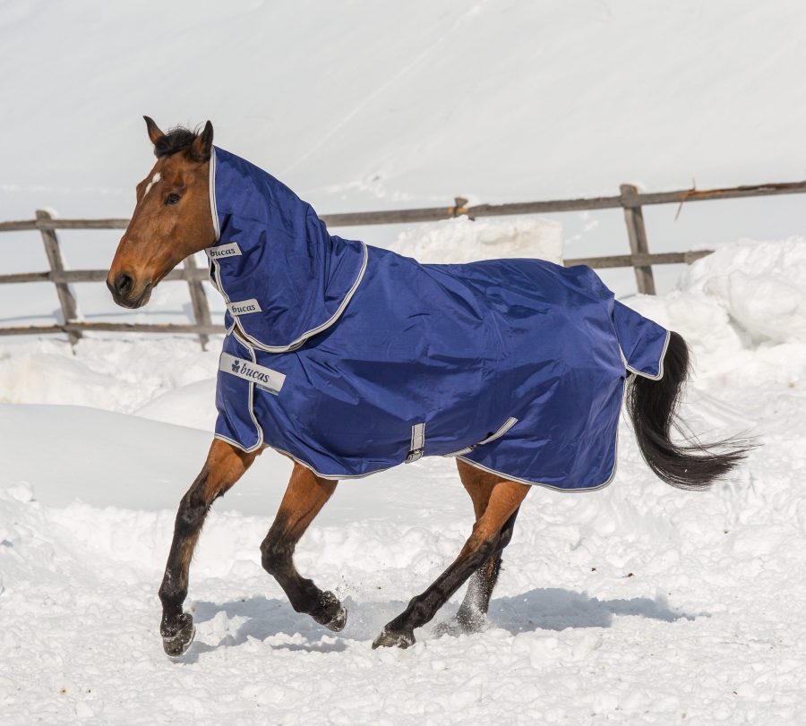 The Bucks Atlantic 200 Turnout Rug