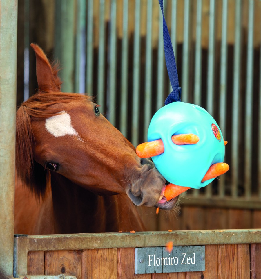 A ball with carrots in is fun for your horse to eat