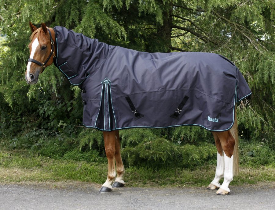 The Fieldmasta 220g Medium Weight Turnout Rug