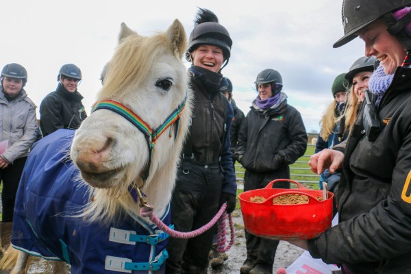 Redwings’ oldest pony celebrates her 45th birthday
