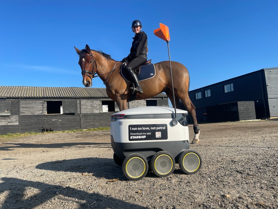 delivery robot and horse