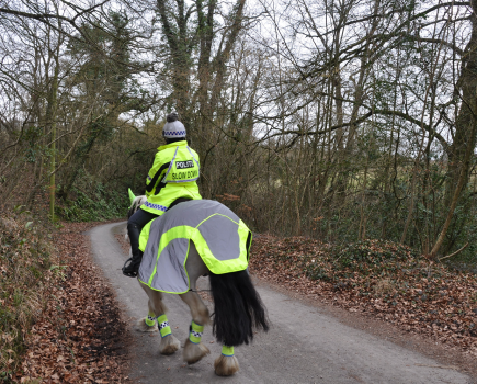 Pictured is a rider and horse in high vis yellow out hacking on a country road