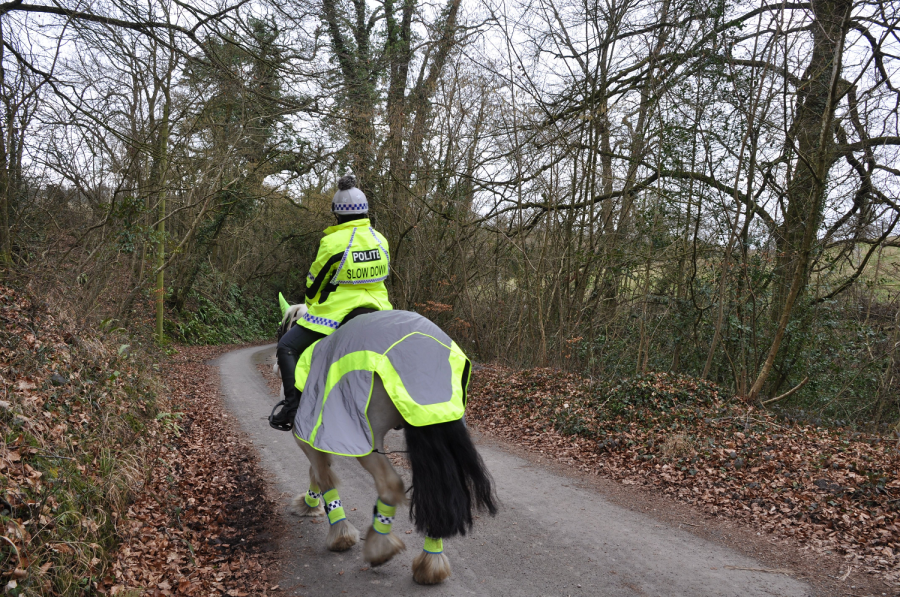 Pictured is a rider and horse in high vis yellow out hacking on a country road