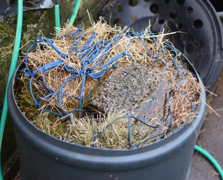 Pictured is a net of hay soaking in a bucket of water
