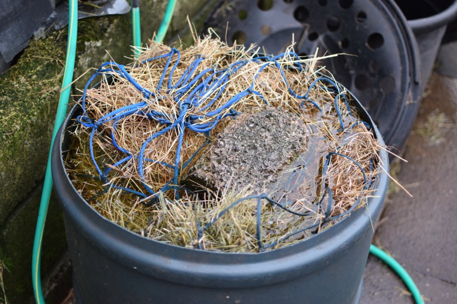 Pictured is a net of hay soaking in a bucket of water