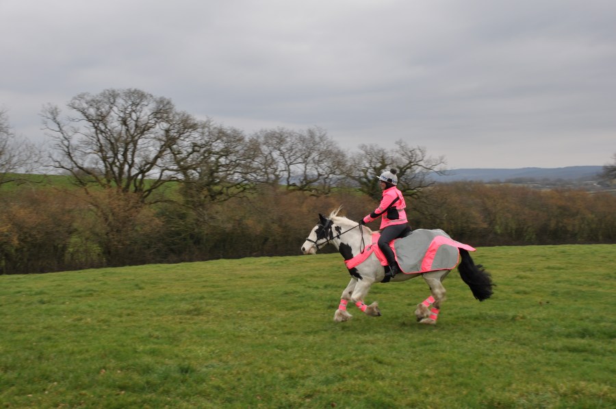 Lady in pink high vis canters a piebald cob in a field