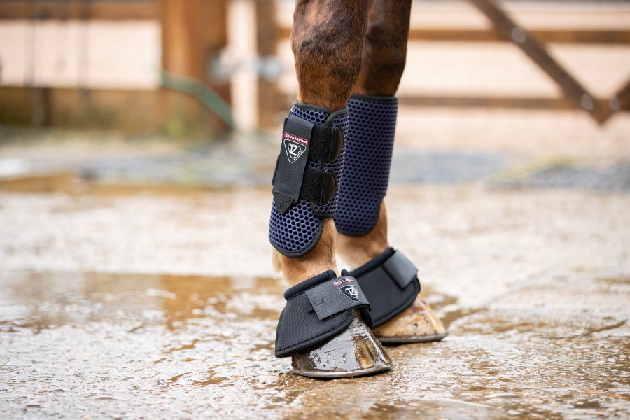 Buyer's guide to brushing boots for horses - Your Horse