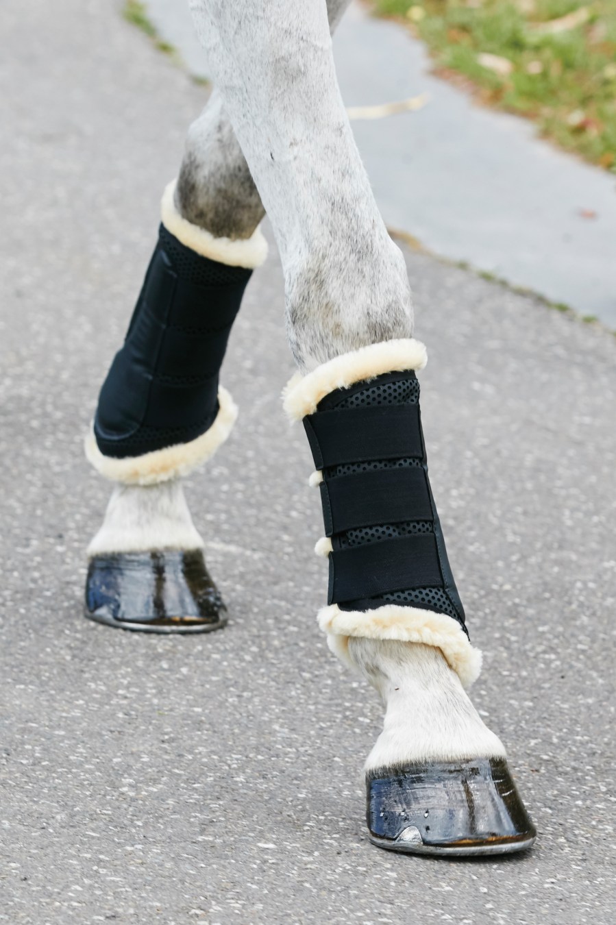 Weatherbeeta Pure Wool Lined Exercise Boots
