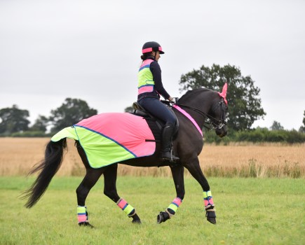 High vis for horses is as important to wear as it is for riders