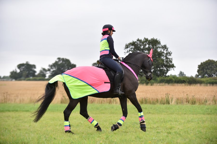 High vis for horses is as important to wear as it is for riders