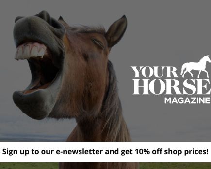 Sign up for our e-newsletter and get 10% off shop prices