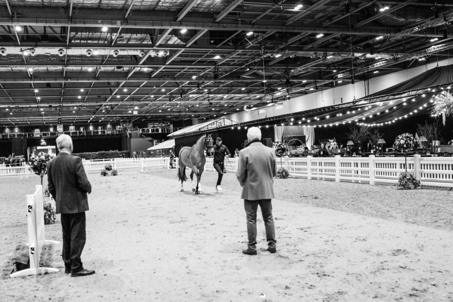BEVA launches new education programme to be held at London