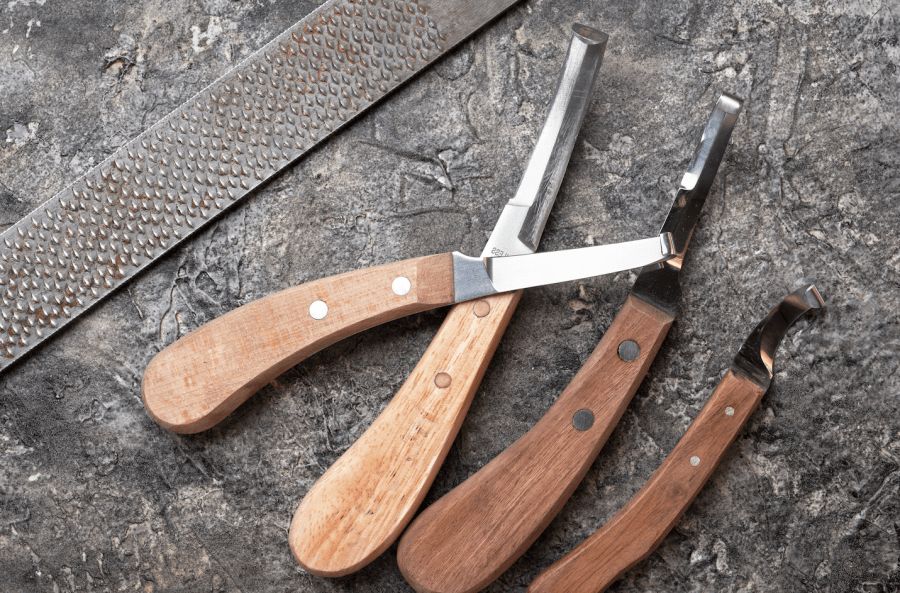 Farriers use a hoof knife to clean the foot before trimming