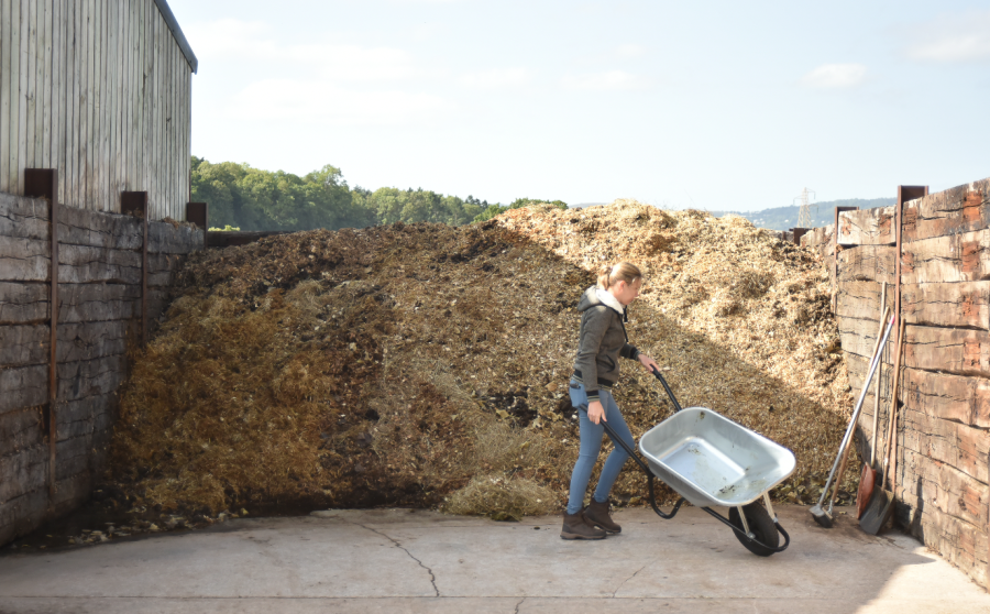 The less bedding you remove from a horse's stable, the longer it will take for your muck heap to grow