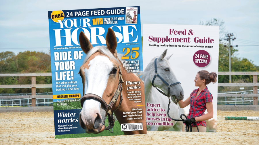 Get your digital copy of Horse & Hound-February 06, 2014 issue